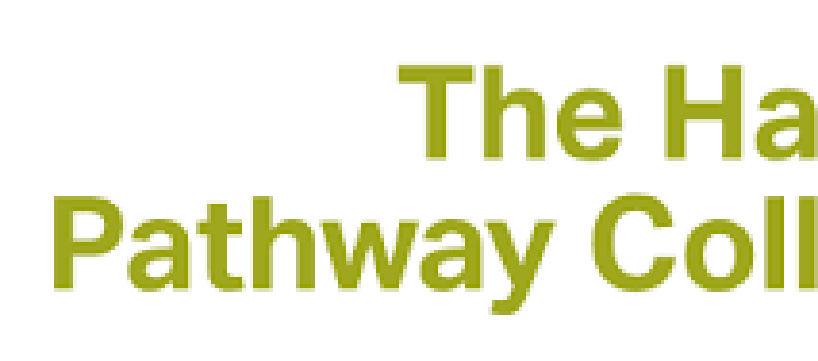 the hague pathway college
